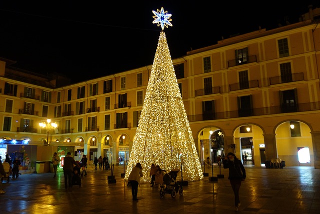 Free Palma Christmas Tree photo and picture