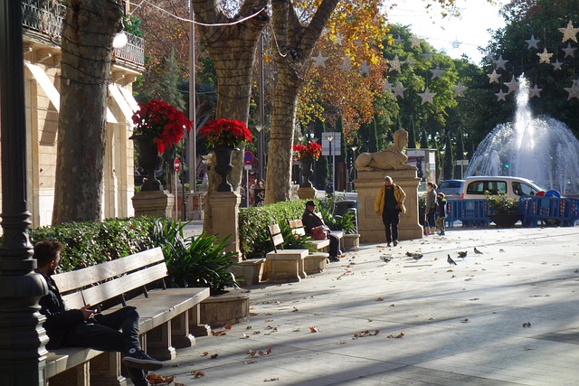 Free Palma Walk photo and picture