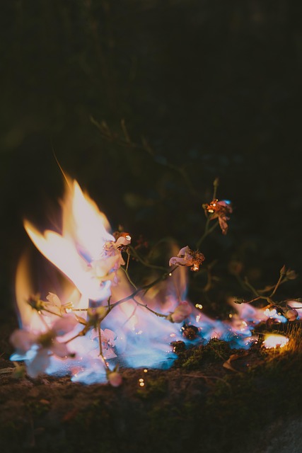 Free Fire Flame photo and picture