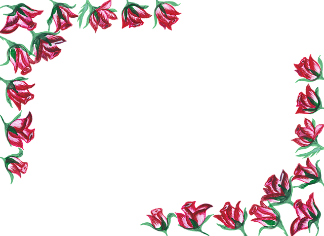 Free roses the edge of the region vector