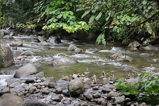 Fluss, Dschungel, Kieselsteine, Tropen