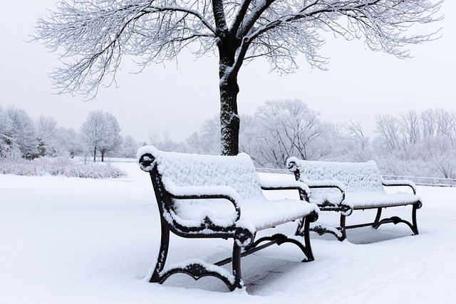 Dezembro, Neve, Inverno, Janeiro