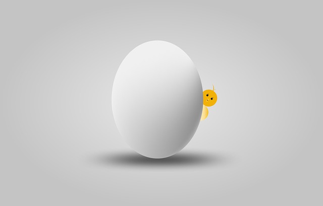 Free egg chick food illustration