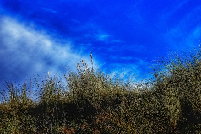 Free Nature Embankment photo and picture