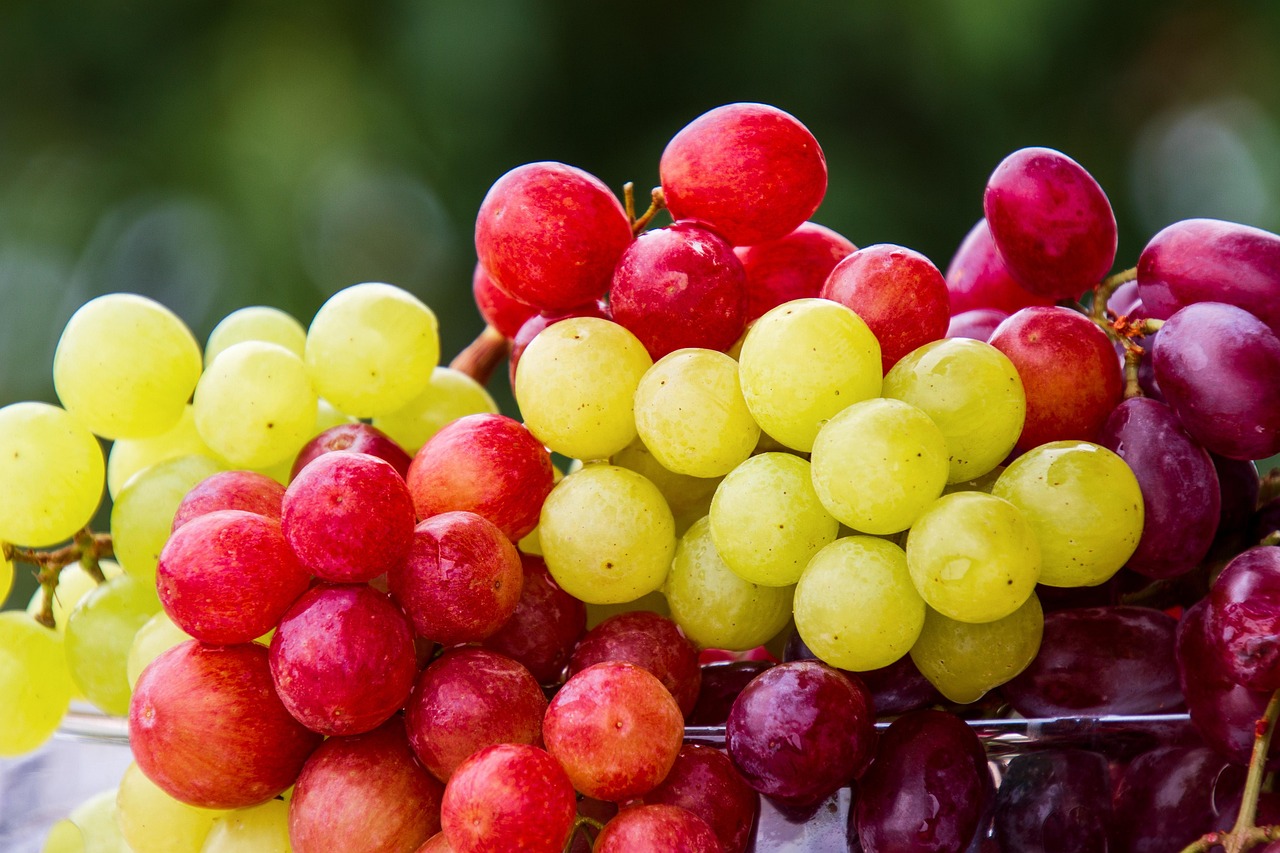 70 000 Free Grape Fruit Set Grapes Images Pixabay