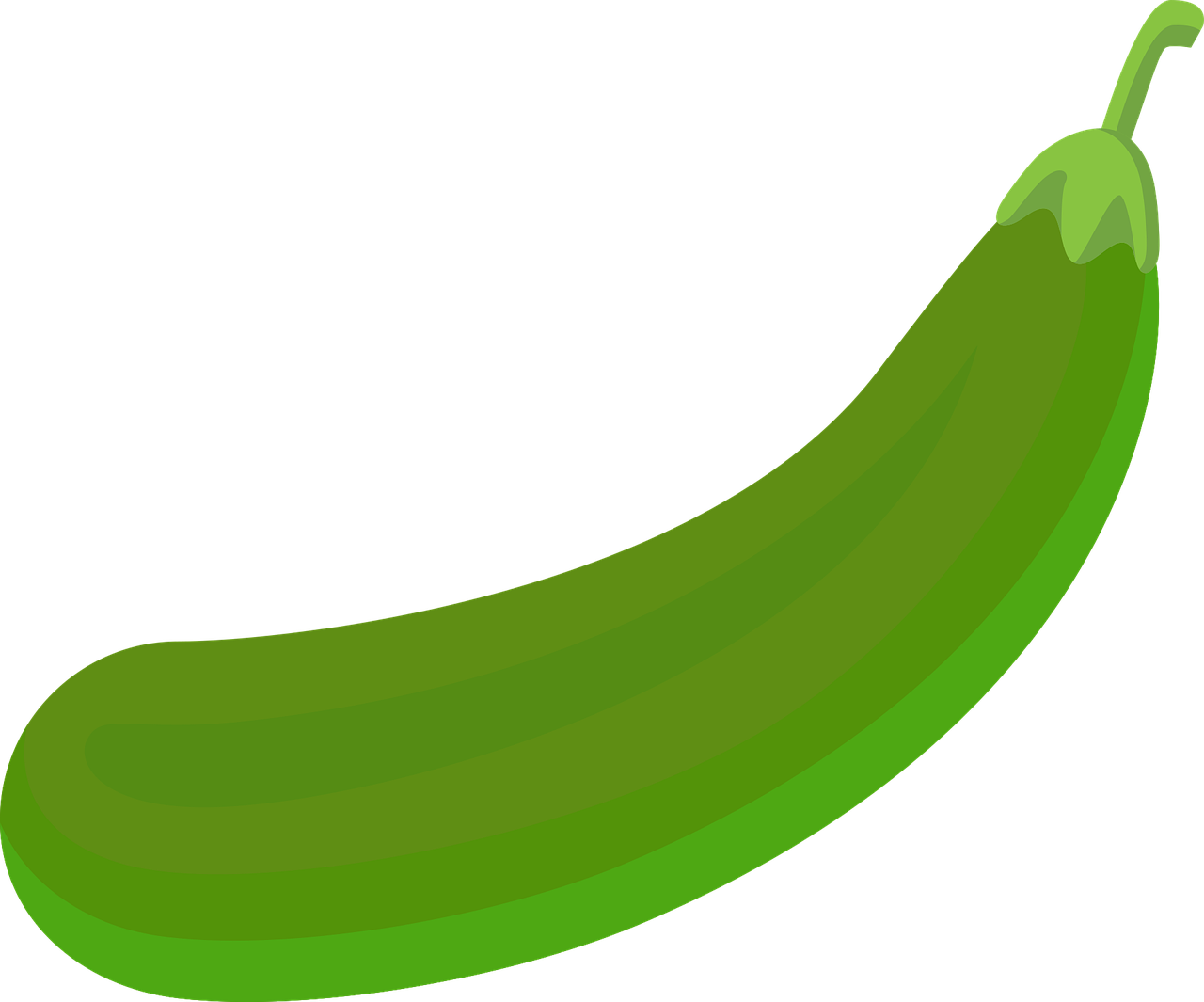 Brinjal, Eierplant Vector, Eierplant Svg
