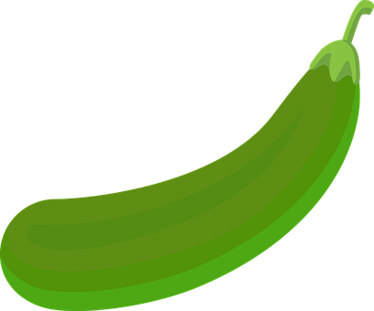 Free Brinjal Brinjal Vector vector and picture