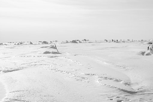 Free Ice Winter photo and picture