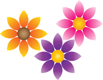 Free Flowers Daisy vector and picture