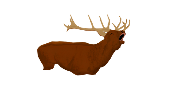 Free Deer Reindeer illustration and picture