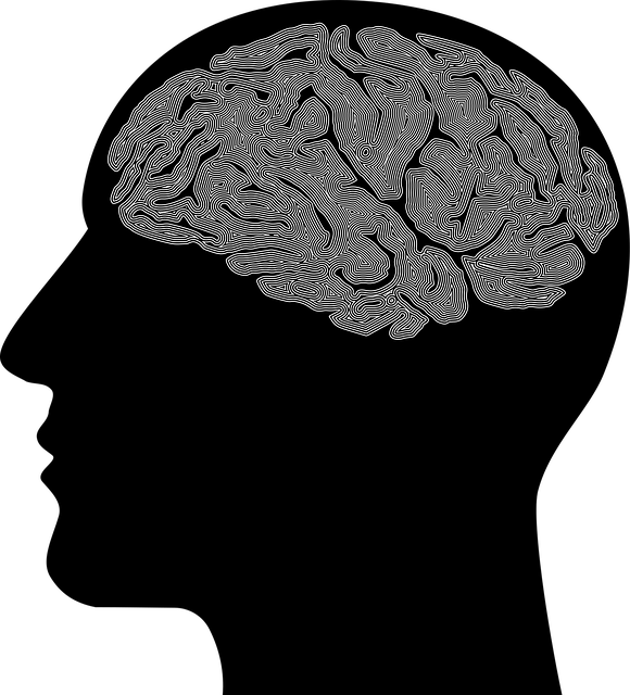 Download free HD stock image of Man Brain Free man brain psychology vector