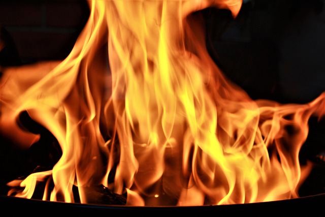 Free Fire Blaze photo and picture