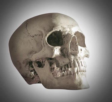 Free Skull Skull And Crossbones photo and picture