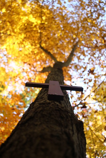 Free Cruz Christian photo and picture