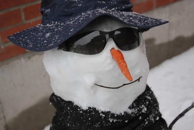 Free Snow Snow Man photo and picture