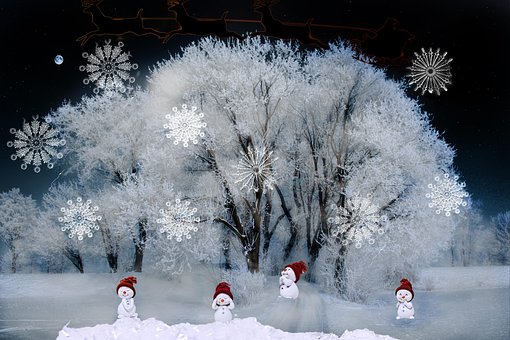 Free Noel Neige photo and picture