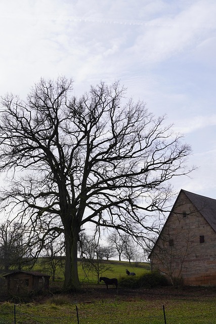 Arbre Décoratif En Bois La Campagne - H. 45 Cm, Couleurs Vives, Base Ovale, Déco Pâques Ou Printemps, Style Rustique