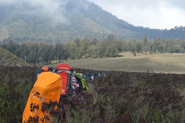 Savana, Berg, Indonesië, Bergen, Natuur