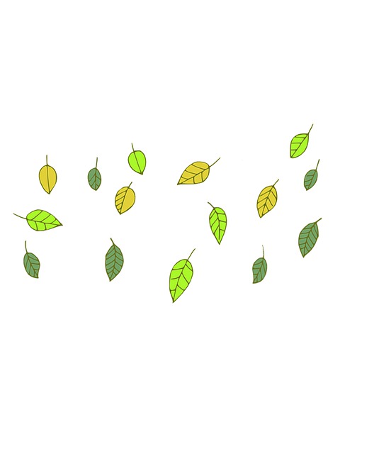 Folhas, Cair, Floresta, Folha, Natureza
