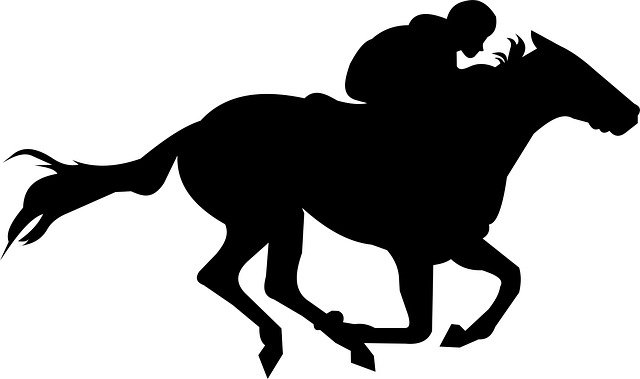Free Horse Mane illustration and picture