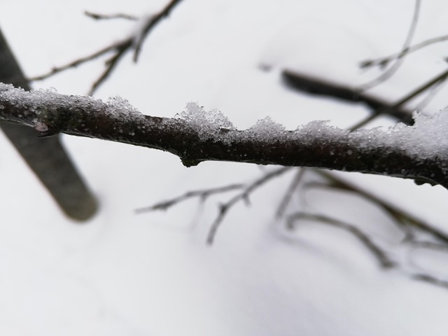 Nieve, Día, Invierno