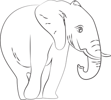 Elefante, Lineal, Colorear
