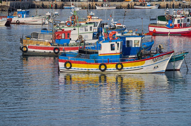 Free Fishing Boats Port photo and picture