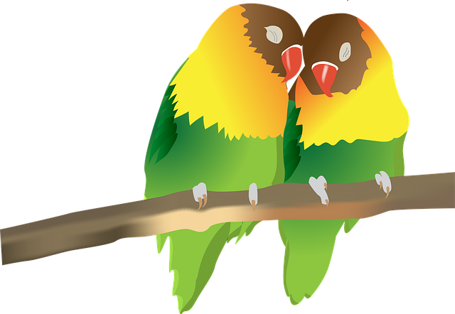 Papageien, Vögel, Zweig, Liebe, Paar