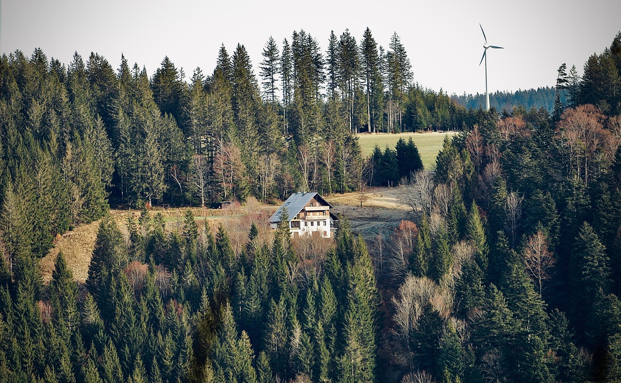 Trees - free online jigsaw puzzle photo