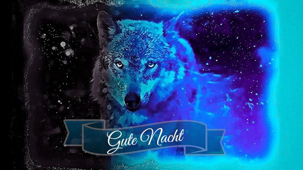 Free Wolf Dog illustration and picture
