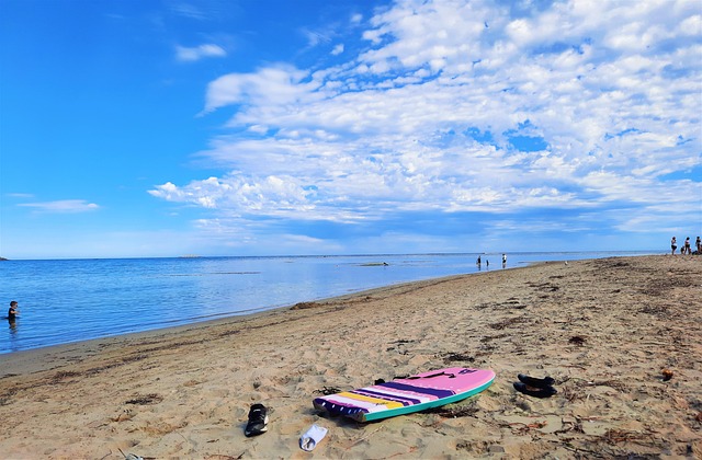 Free Beach Ocean photo and picture