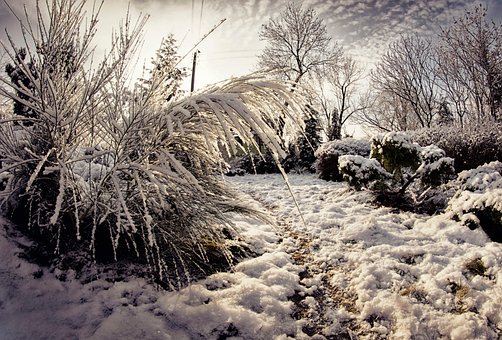 Free Winter Snow photo and picture