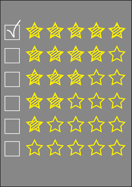 Free review star quality vector