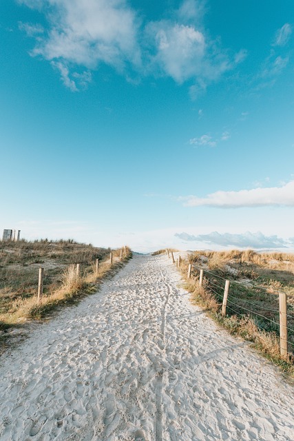Free Path Sand photo and picture