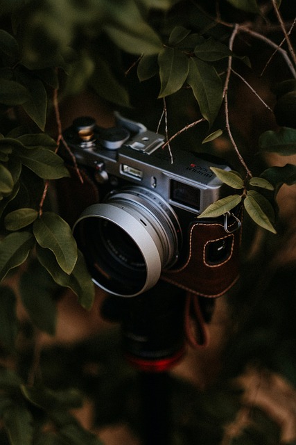 Free Camera Leaves photo and picture