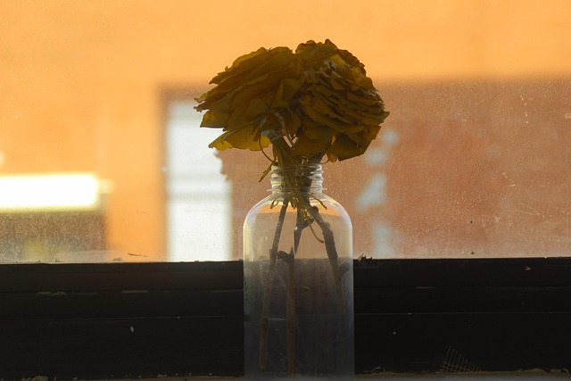 Free Vase Love photo and picture