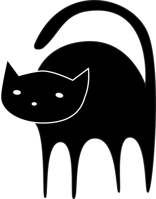 Schwarze Katze, Katze, Schwarz