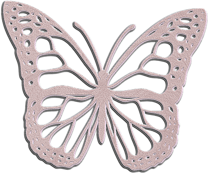 Free Butterfly Glamour illustration and picture