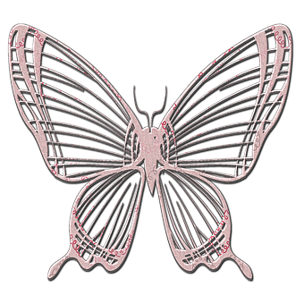 Free Butterfly Glamour illustration and picture