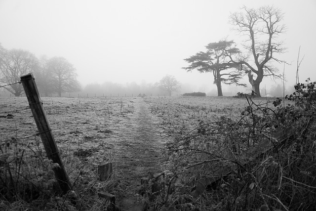 Free Alton Water Suffolk photo and picture