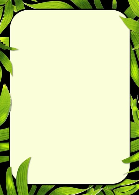 Download free HD stock image of Leaves Border Free leaves border frame illustration