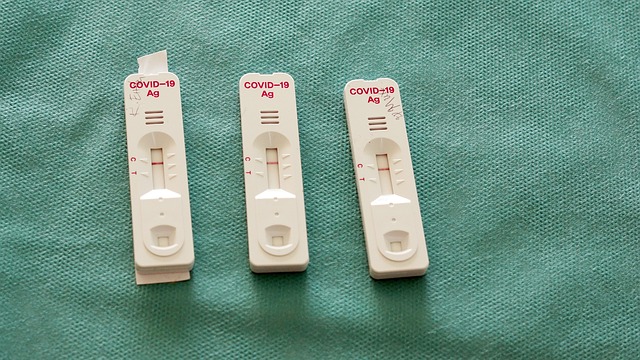 Free Covid-19 Antigen Test photo and picture