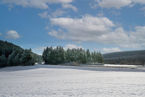Free Winter Landscape photo and picture