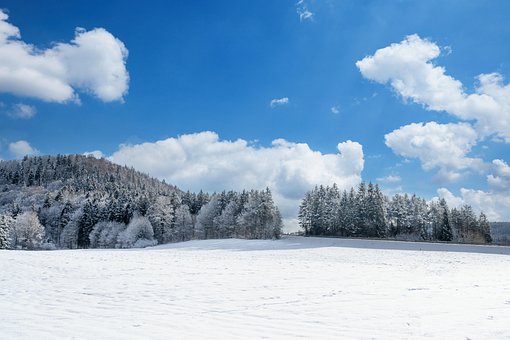 Free Winter Landscape photo and picture