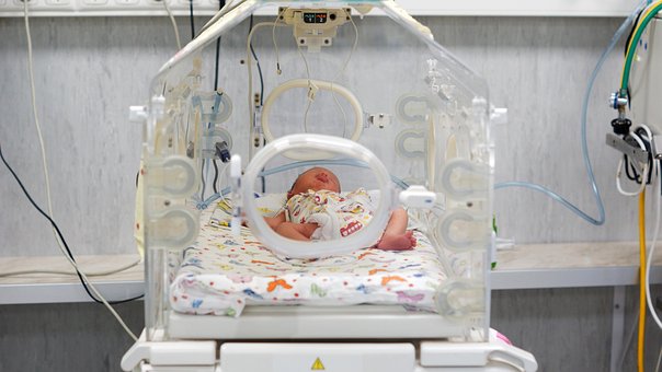 Baby, Inkubator, Neugeborenes