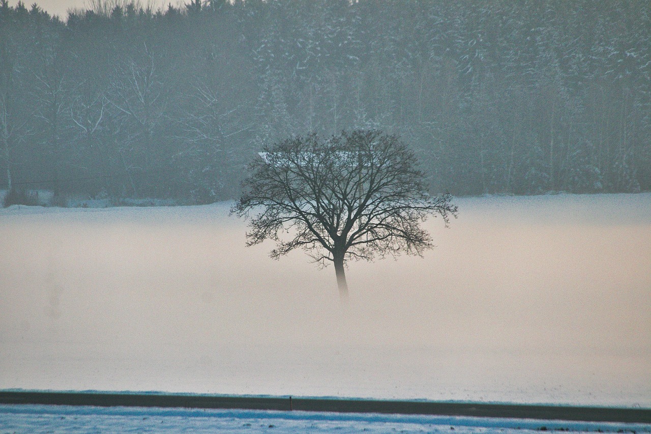 Road - free online jigsaw puzzle photo