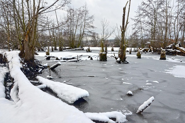 Free Winter Nature photo and picture