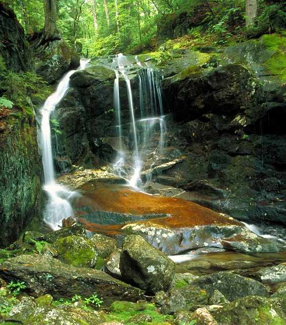 Free Alaska Adirondacks photo and picture