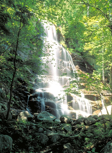 Free Alaska Adirondacks photo and picture