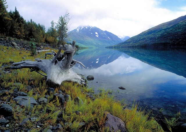 Free Alaska Adirondacks photo and picture